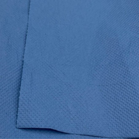 Bobine d'essuyage bleue 3 plis 500 F 24x33 cm - lot de 2